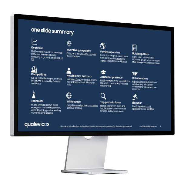 one slide patent landscape summary